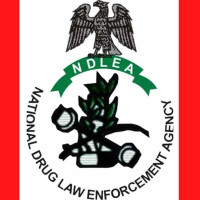 NDLEA